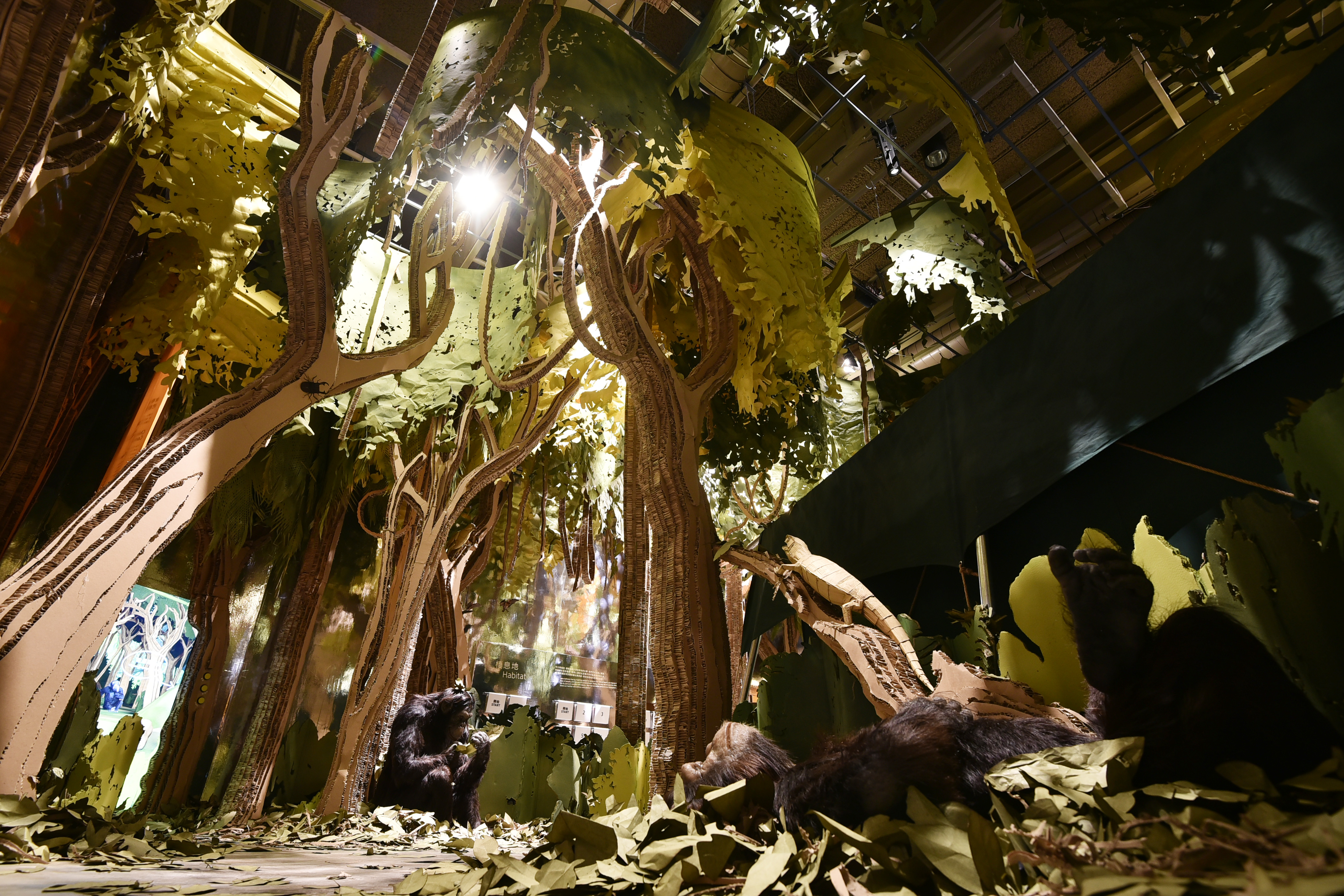 There are lots of animals living in this paper forest. In addition to chimpanzees, can you find some other animals?